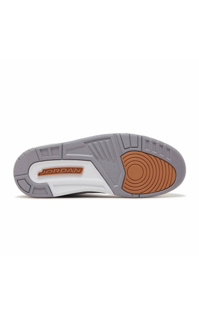 Air Jordan 3 Retro Washington Wizards